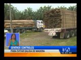 Fuerzas del orden aúnan esfuerzos para detener tala ilegal de madera