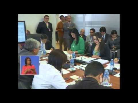 Informe para segundo debate sobre el proyecto de Código Penal fue aprobado