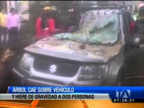 Dos personas resultaron heridas por la caída de árbol en la avenida Amazonas