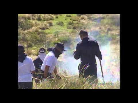 Incendio consumió 60 hectáreas de pajonales en Quito