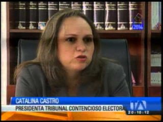 El CNE afina detalles a cuatro días que inicie la campaña electoral