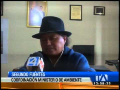 Eliminarán langostinos de Yahuarcocha