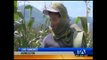 Ceniza afecta las plantaciones de maíz en Chimborazo