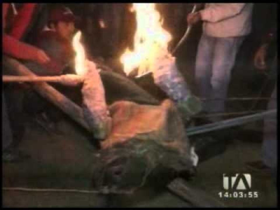 Novillo Bomba 2014