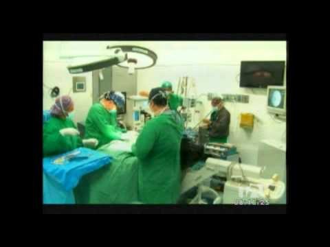 531 trasplantes de órganos y tejidos se realizaron en Ecuador en el 2013