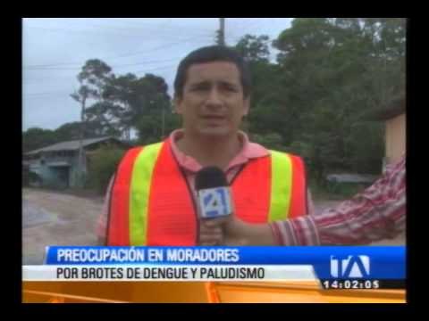 Brotes de dengue en Sucúa preocupan a la localidad