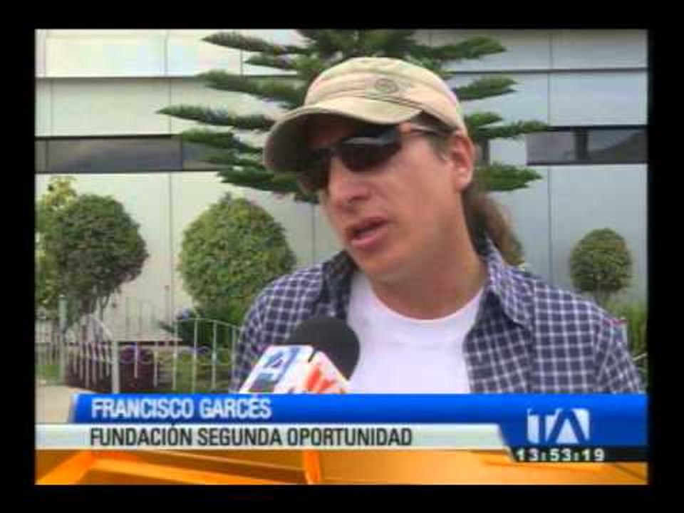 Denuncian venta ilegal de animales domésticos en Sangolquí