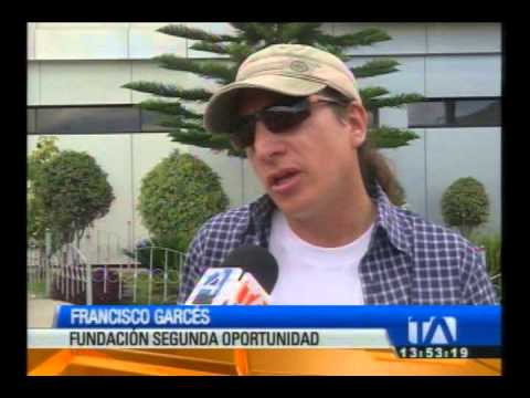 Denuncian venta ilegal de animales domésticos en Sangolquí