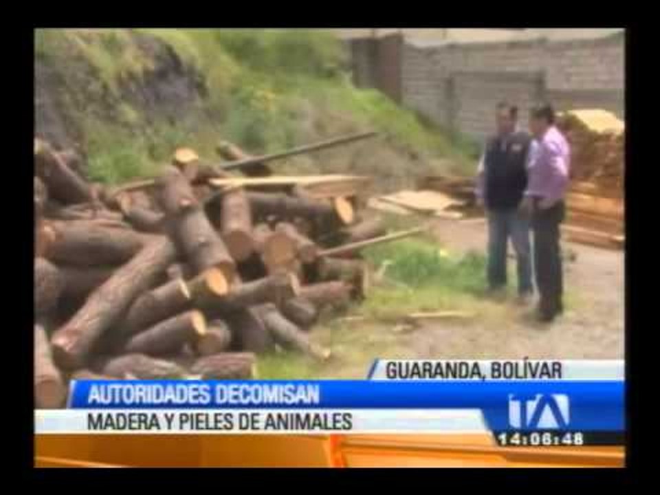 Decomisan madera en Guaranda