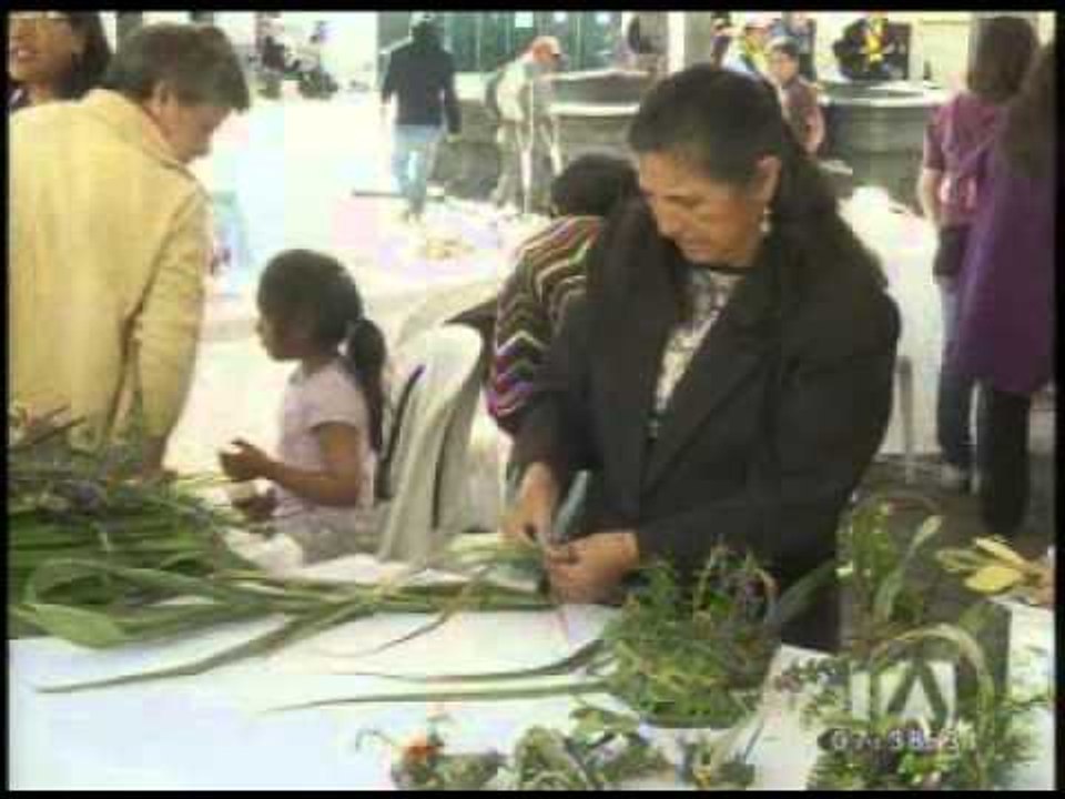 Se reduce la venta de palma de cera en Ecuador