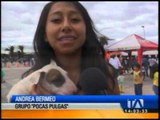 En Ibarra se desarrolló el festival de canes