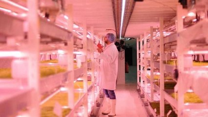 «Υπόγειος Κόσμος»: Μία φάρμα κάτω από τους δρόμους του Λονδίνου