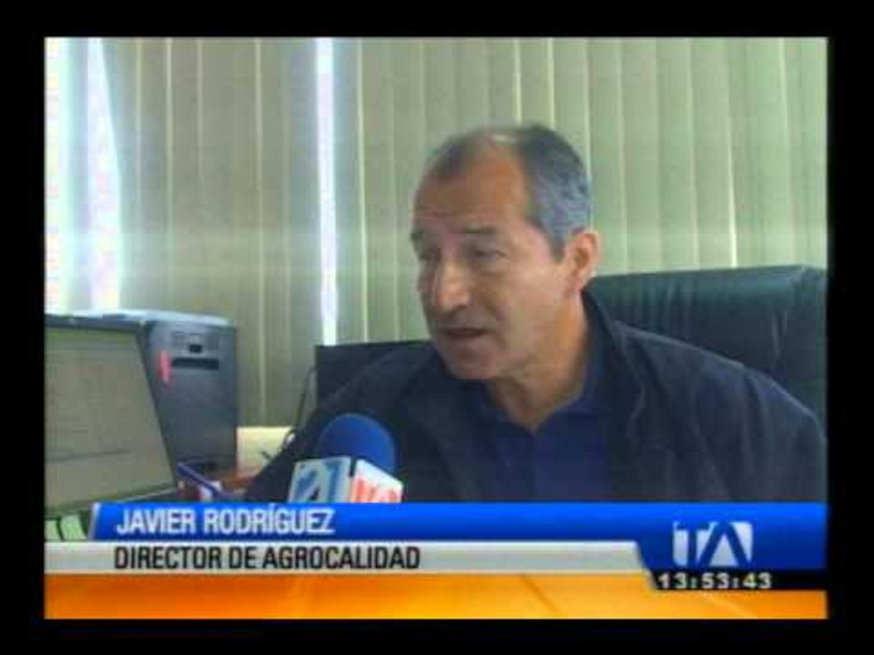 Ciudadanos sancionados por faenar cerdos en condiciones insalubres 1