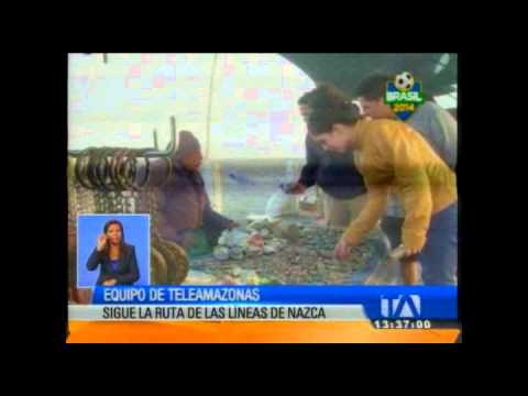Al mundial en bus : el equipo de Día a Día cruzó las Líneas de Nazca