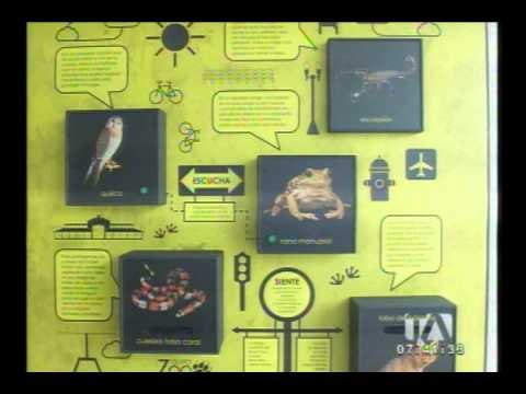 Zoológico de Guayllabamba inaugura sala Quito Hábitat Silvestre