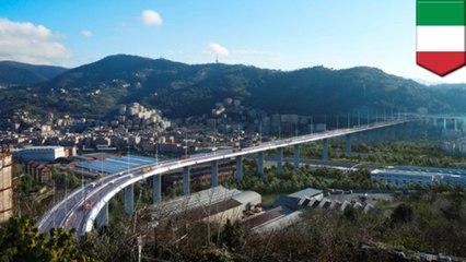 Genoa bridge to be replaced after deadly collapse
