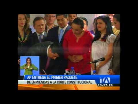 Asambleístas de Alianza PAIS entregaron paquete de propuestas de enmiendas a la Constitución