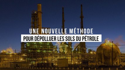 Une nouvelle méthode pour dépolluer les sols du pétrole