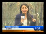 Incendio afectó cuatro hectáreas de bosque en el nororiente de Quito