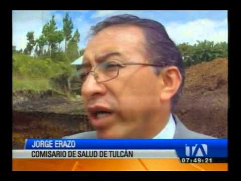 Autoridades incautan azúcar y atún en mal estado en Carchi