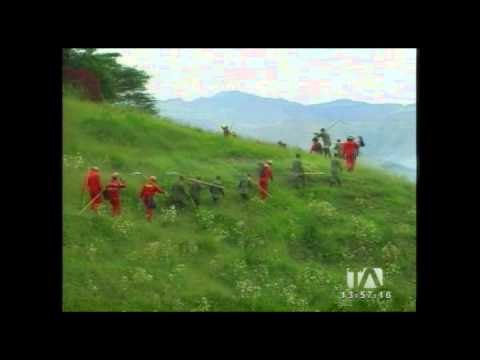 Incendio en cerro Laguarango deja daños en Loja