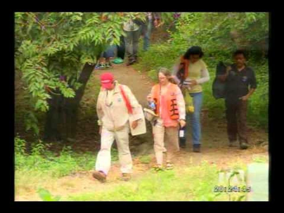 Ecuador por dentro: Sea parte del recorrido del tren de la dulzura