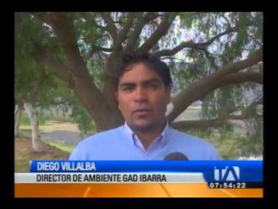 Derrame de hidrocarburos contamina la laguna de Yaguarcocha