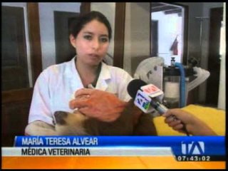 Zoológico de Guayllabamba emprende campaña 'Quito Zoolidario'