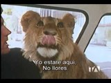 Promo Ecos: UN LEÓN LLAMADO CHRISTIAN