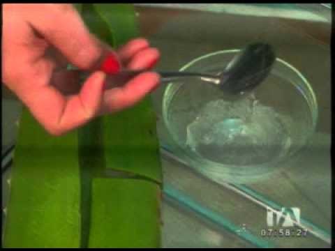 Consejos caseros para evitar la caída del cabello