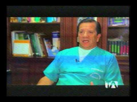 ¿Cómo elegir la mascota adecuada para su familia?