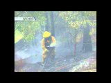 Dos personas fueron sentenciadas por ocasionar incendios forestales