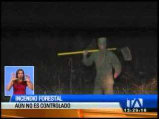 Download Video: Incendio forestal afecta a 60 hectáreas de campo