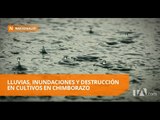 Las lluvias provocan inundaciones y destrucción en cultivos en Chimborazo