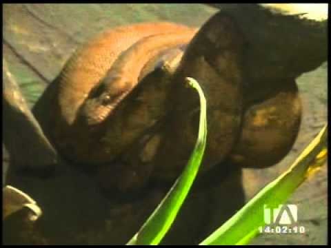 El Vivaruim y Jardín Botánico son opciones para el feriado