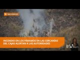 Alerta por incendio forestal en las cercanías del Parque El Cajas - Teleamazonas