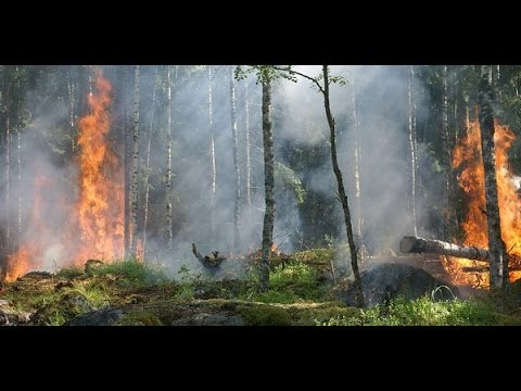 Emergencia en Cuenca por incendio cerca del Parque Nacional Cajas - Teleamazonas