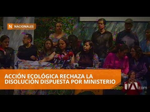 Acción Ecológica rechaza proceso de disolución - Teleamazonas