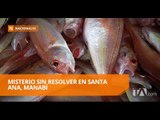 Aparecen cientos de peces muertos en Manabí - Teleamazonas