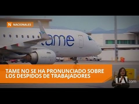 Tame no se ha pronunciado sobre los despidos de trabajadores