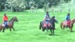 Imagina recorrer el Ecuador sobre un caballo - Teleamazonas