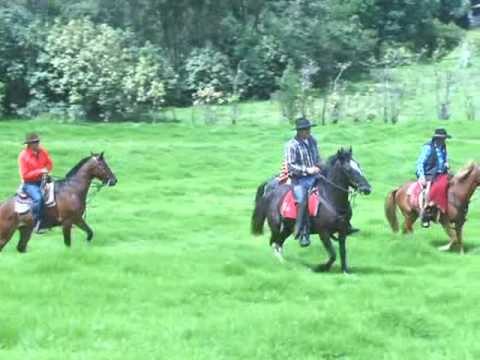 Imagina recorrer el Ecuador sobre un caballo - Teleamazonas