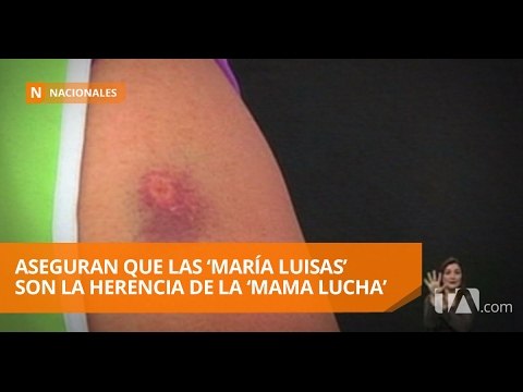 Una comerciante del mercado San Roque fue golpeada