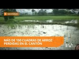 Invierno afecta más de dos mil hectáreas de cultivos - Teleamazonas