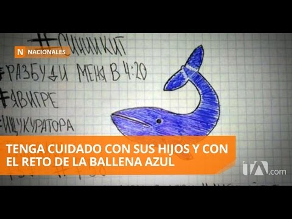 Policía Ecuatoriana alertó sobre el juego de la Ballena Azul - Teleamazonas