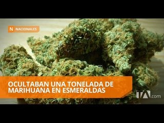 Скачать видео: Fuerzas Armadas decomisan una tonelada de marihuana - Teleamazonas