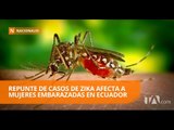 Ministerio de Salud confirmó repunte de zika en Ecuador - Teleamazonas