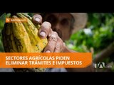 Sectores agrícolas hacen pedido al nuevo gobierno - Teleamazonas