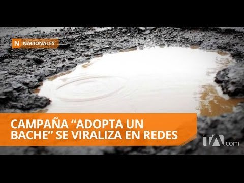 Campaña “Adopta un bache” se viraliza en redes sociales