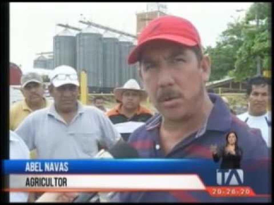 Arroceros exigen que UNA compre la sobreproducción y regule precios - Teleamazonas